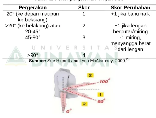 Gambar 2.5 Pergerakan Lengan Bawah