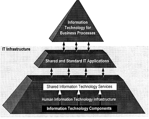 Fig. 5. Emerging model of IT infrastructure.
