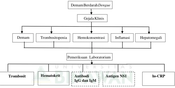 Gambar 4. Kerangka Teori  