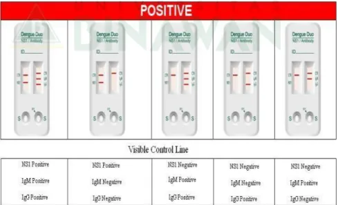 Gambar 8. Dengue IgG dan IgM 25