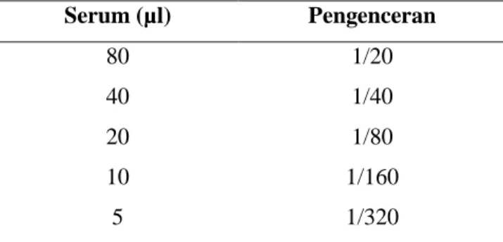 Tabel 2. Interpretasi Hasil  Serum (µl)  Pengenceran 
