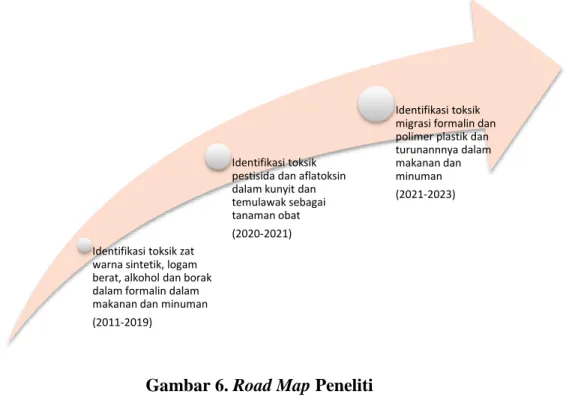 Gambar 6. Road Map Peneliti
