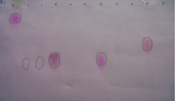 Gambar 8. Kromatogram zat warna pembanding dan sampel no.1-4 dalam  eluen  NaCl 2 