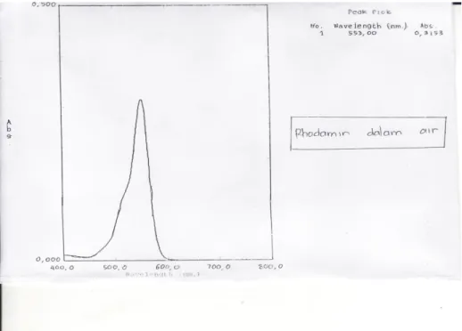 Gambar 12. Spektrum Rhodamin B dalam air  