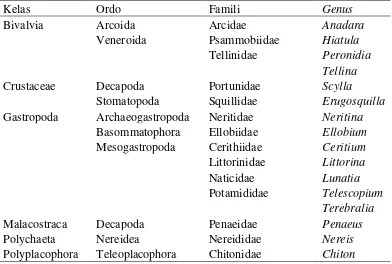 Tabel 4.2. Genus Makrozoobentos yang Didapatkan pada Tiap Stasiun 