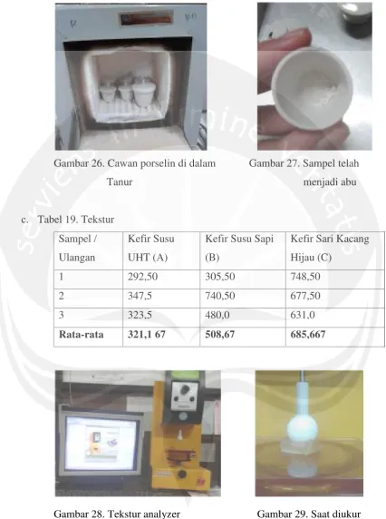 Gambar 28. Tekstur analyzer