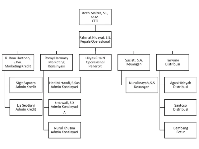 Gambar 3.1 : Struktur Organisasi  3.1.2 Kondisi Instansi  