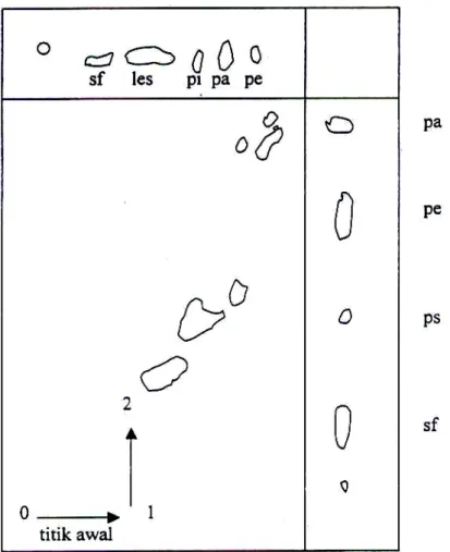Gambar   IV.2  Pemisahan   dua   dimensi   sari   fosfolipid   dari   eritrosit   manusia.
