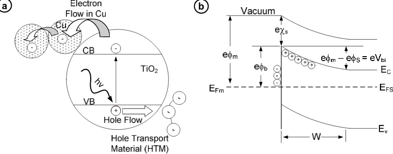 Figure 9 (a) Mechanism of photoexcitation process in Cu-deposited TiO2 under UV irradiation, and (b) band diagram of metal-semiconductor (Schottky) junction at equilibrium