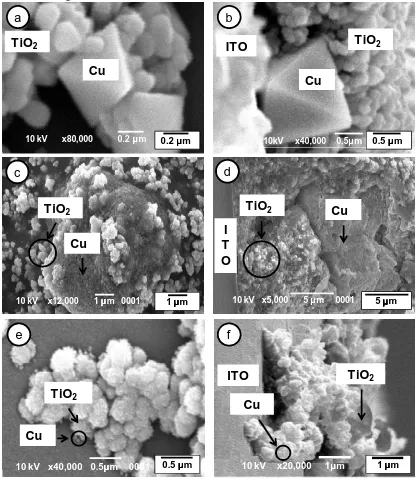 Figure 5 Surface and cross-section of Cu/TiO2 ﬁlms after coating using: electroplating methods (a,b), doctor-blade (c,d), and sputtering (e,f)