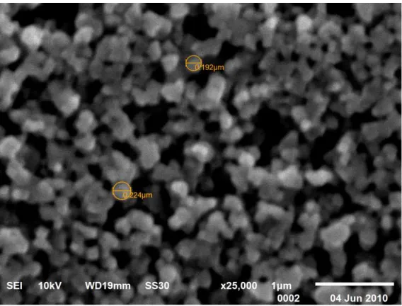 FIGURE 2. SCANNING ELECTRON MICROGRAPHS OF A TIO2 NANOPARTICLE �LM SPRAYDEPOSITED FROM AQUADES SOLUTION ON ITO SUBSTRATE