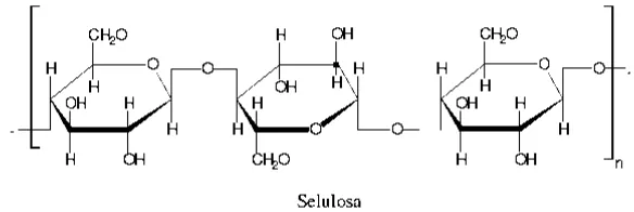 Gambar 1. Koloni sel  (A) dan struktur scenedesmus sp. (B) 