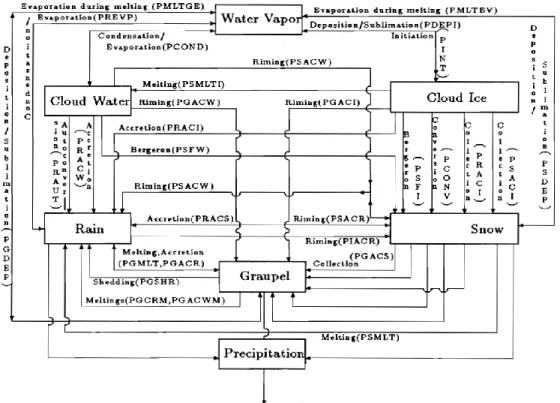 Figure 2. Diagram of inter-hydrometeor-transfers of water substance of the cloud  microphysics model after Rutledge and Hobbs, 1984 [4, 5, 10]