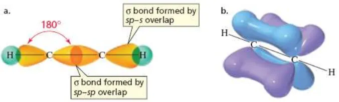 Gambar  1.11. Konfigurasi elektron atom karbon yang terhibridisasi sp 