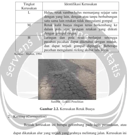 Gambar 2.2. Kerusakan Retak Buaya 