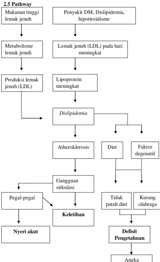Gambar 2.1 Pathway Dislipidemia (Nugroho, 2013) Defisit  Pengetahuan Pegal-pegal 