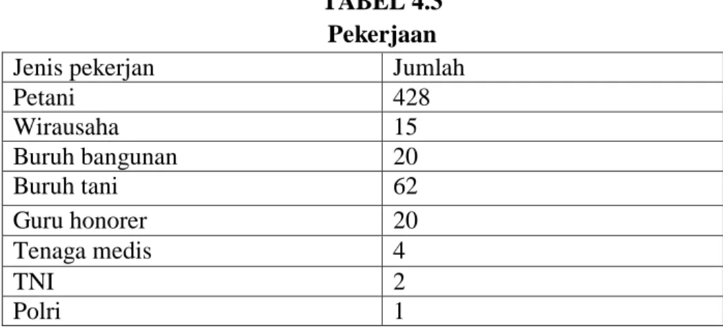 TABEL 4.3  Pekerjaan 