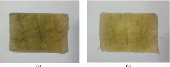 FIGURE 7. Mangifera indica Coloring Results in Linen Cloth for (a) 1:7 Ratio; (b) 1:15 Ratio