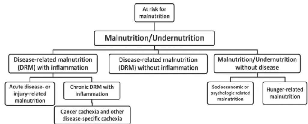 Gambar 1. Faktor Risiko Malnutrisi 