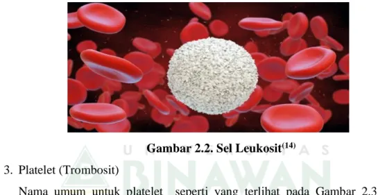 Gambar 2.2. Sel Leukosit (14) 3.  Platelet (Trombosit)  