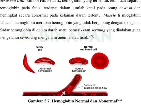 Gambar 2.7. Hemoglobin Normal dan Abnormal (25)    2.2.2 Struktur Hemoglobin 