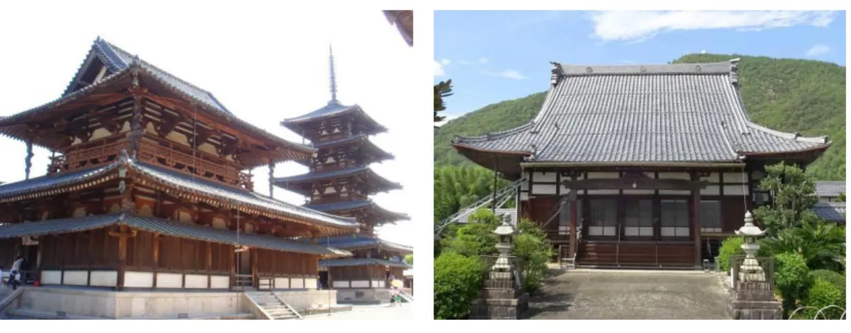 Figure 7. Horyu-ji Temple               Figure 8. Main Hall at Shinryu-ji Temple 