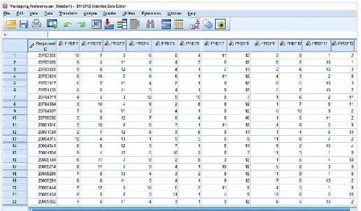 Figure 12. Data input for SPSS conjoint analysis 