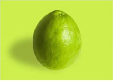 Gambar 1. Buah Jambu Biji