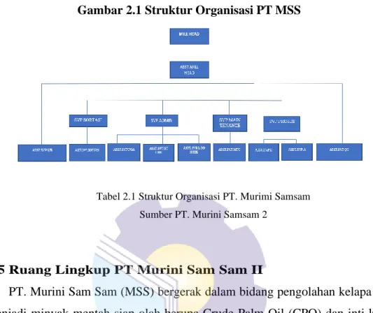 Tabel 2.1 Struktur Organisasi PT. Murimi Samsam  Sumber PT. Murini Samsam 2 