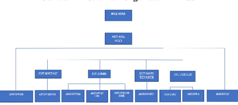 Gambar 2.1 Struktur Organisasi PT MSS 
