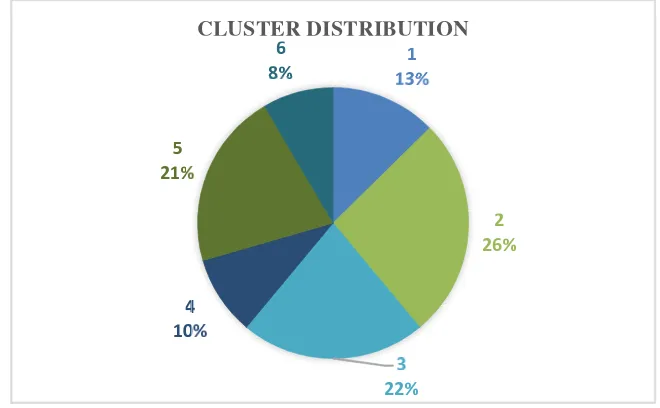 Figure 3: Cluster distribution for local performance art audience in Indonesia