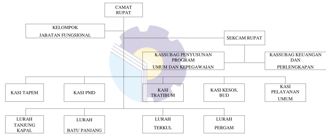 Gambar 2.1 Struktur Organisasi Kantor Camat Rupat  Sumber: Kantor Camat Kecamatan Rupat