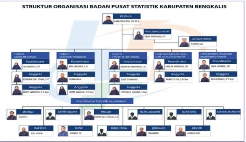 Gambar 2.1 Struktur Organisasi BPS Kabupaten Bengkalis 