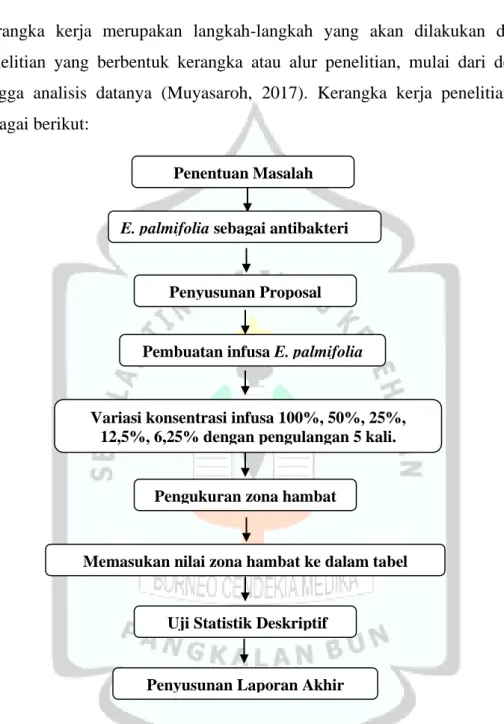 Gambar 1.4  Kerangka kerja uji antibakteri infusa E. palmifolia terhadap bakteri E. coli Penentuan Masalah 