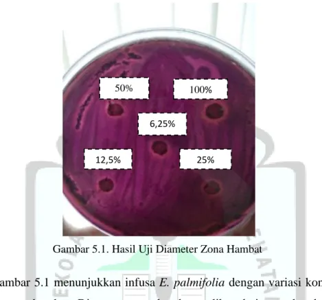 Gambar 5.1 menunjukkan infusa  E. palmifolia dengan variasi konsentrasi   memiliki  zona  hambat