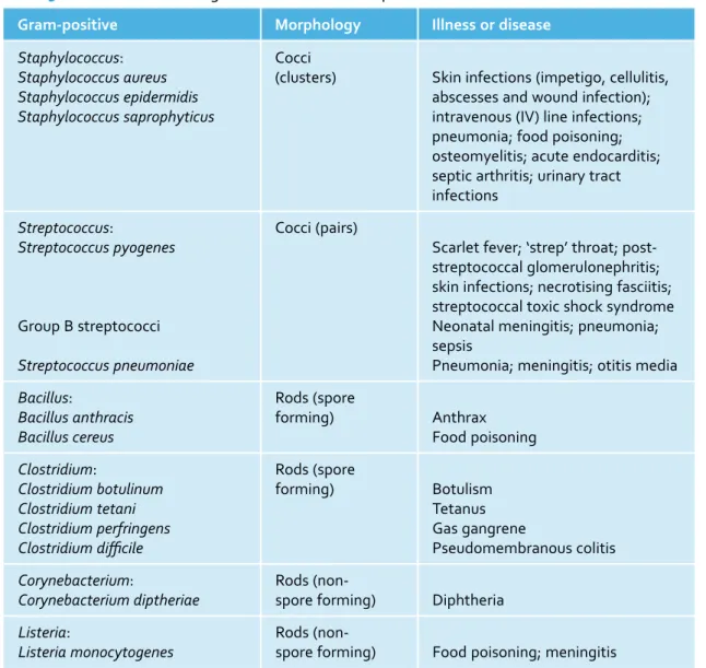 Table  5.1  lists  some  common  bacteria  which  are  responsible  for  causing  a  wide  range  of   infections, some of which are seen in healthcare settings, according to their Gram-stain reaction  and shape.