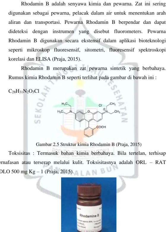 Gambar 2.5 Struktur kimia Rhodamin B (Praja, 2015)