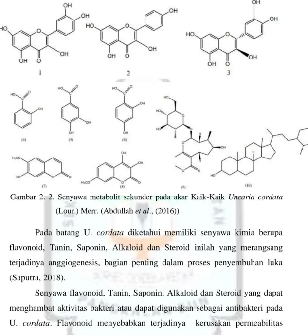 Gambar  2.  2.  Senyawa  metabolit  sekunder  pada  akar  Kaik-Kaik  Uncaria  cordata  (Lour.) Merr