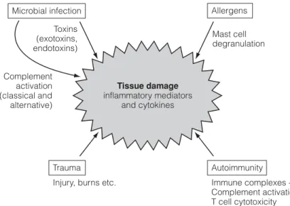 Fig. 1. Causes of acute inﬂammation. The activation phase of the acute inﬂammatory response may be initiated by trauma, infection, allergy and autoimmune reactions, although the latter is more often associated with the chronic form of inﬂammation