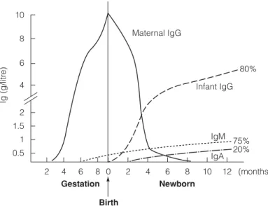 Fig. 1. Maternal IgG is actively transported across the placenta and accumulates in the baby’s blood until birth