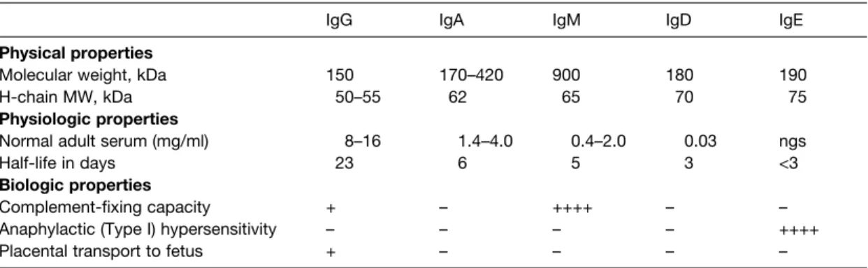 Fig. 1. IgG immunoglobulin: basic 4 chain structure representative of all immunoglobulins.