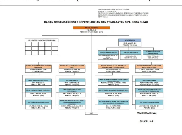Gambar 2.3 Struktur Organisasi Dinas Kependudukan dan Pencatatan Sipil  2.4   Ruang Lingkup Dinas Kependudukan dan Pencatatan Sipil Kota Dumai 