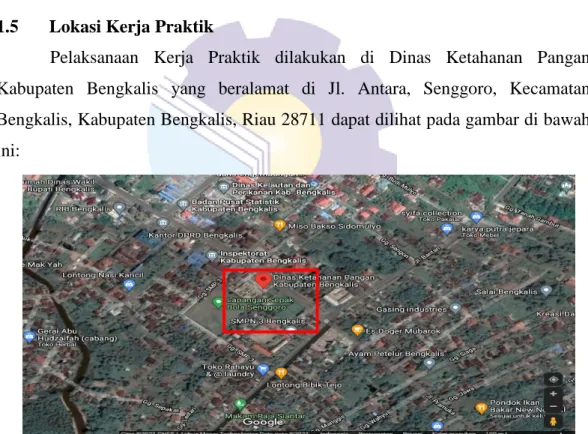 Gambar 1.1 Gambar Satelit Dinas Ketahanan Pangan Kabupaten Bengkalis 