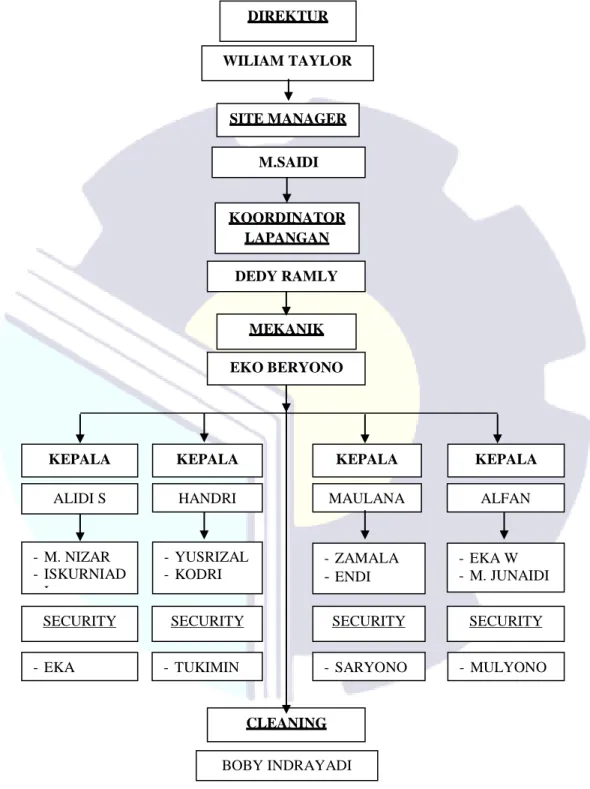 Gambar 1.1 Struktur Organisasi Perusahaan DIREKTUR 