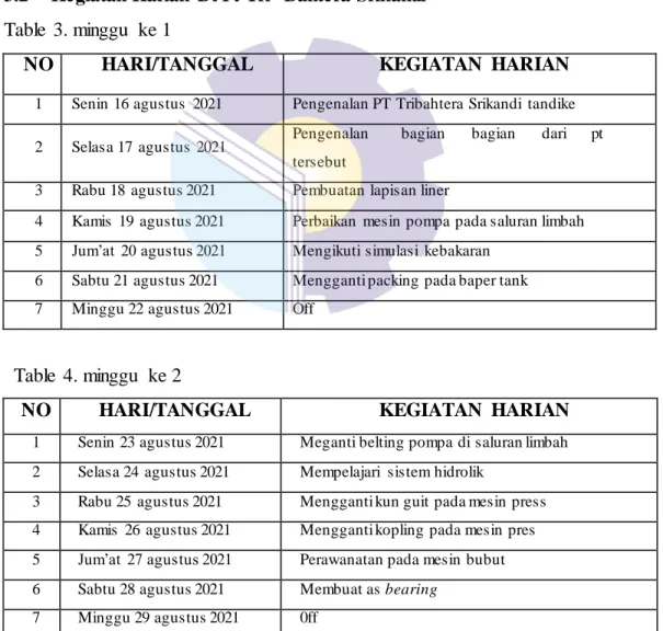 Table  4. minggu  ke 2 