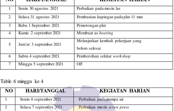 Table  6 minggu  ke 4 