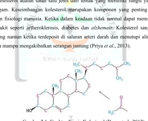 Gambar 2.1. Struktur Kimia Kolesterol (Berg et al., 2012). 