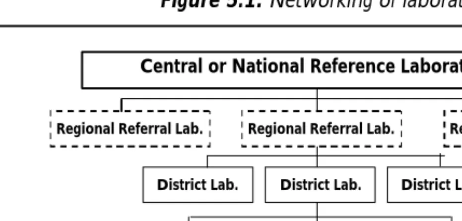 Figure 5.1: Networking of laboratories 