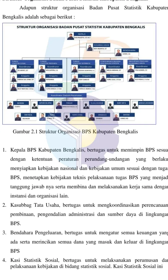 Gambar 2.1 Struktur Organisasi BPS Kabupaten Bengkalis 