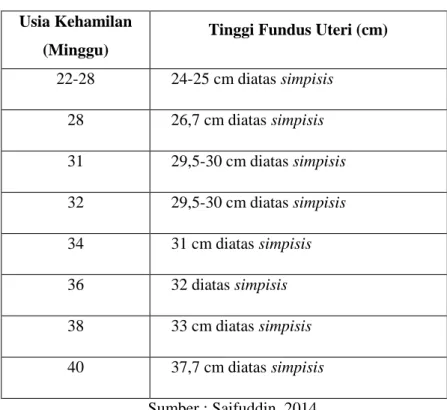 Tabel 2.2Penambahan Ukuran TFU Menurut Mc Donald  Usia Kehamilan 